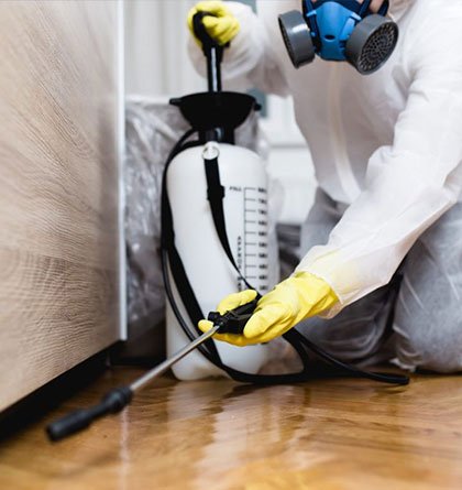 Pest Control